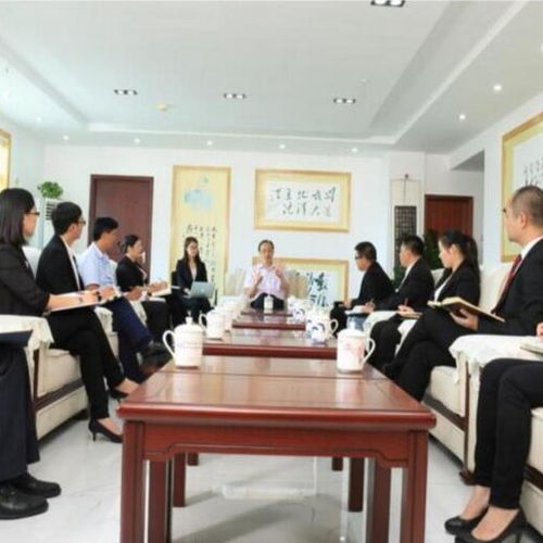 電競項目商業計劃書范例及會議展覽服務規劃